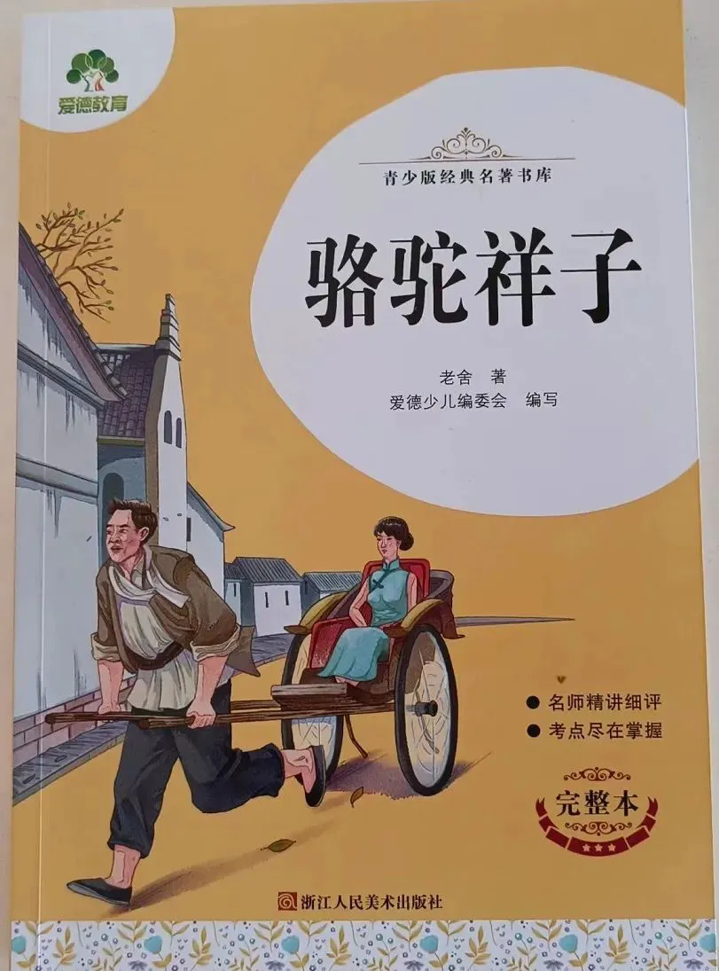 如何通过反馈分析提升篮球战术意识_1